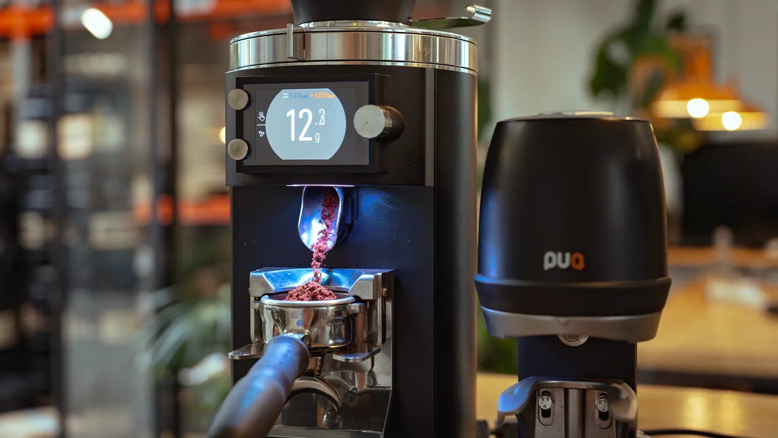 Brewing Methods and Techniques